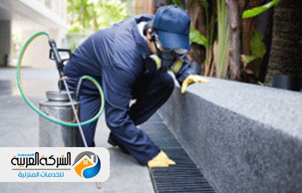شركة رش مبيد بالرياض