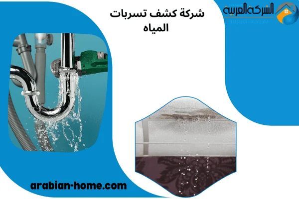 شركة كشف تسربات المياه