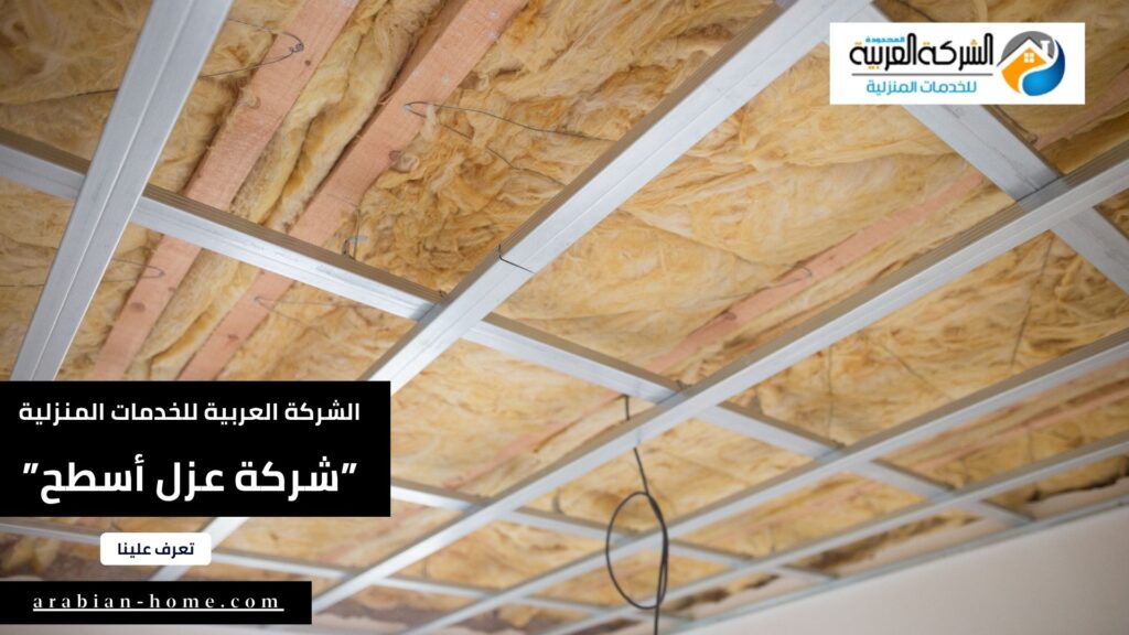 شركة عزل أسطح بعفيف