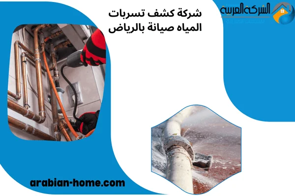 شركة كشف تسربات المياه صيانة بالرياض