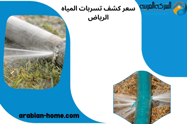 كشف تسربات المياه 