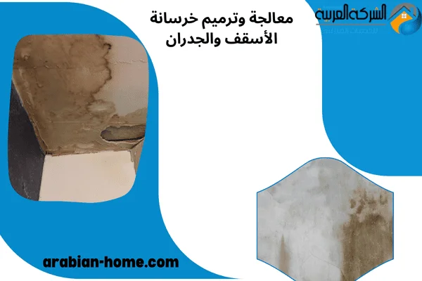 معالجة وترميم خرسانة الأسقف والجدران